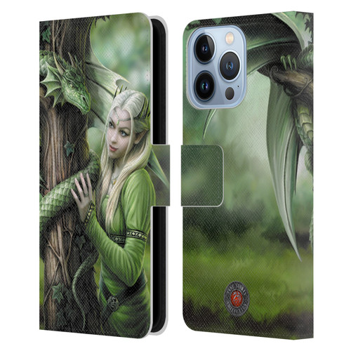 Anne Stokes Dragon Friendship Kindred Spirits Leather Book Wallet Case Cover For Apple iPhone 13 Pro