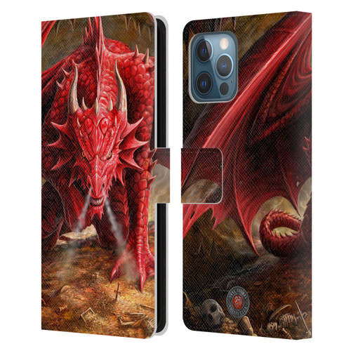 Anne Stokes Dragons Lair Leather Book Wallet Case Cover For Apple iPhone 12 Pro Max