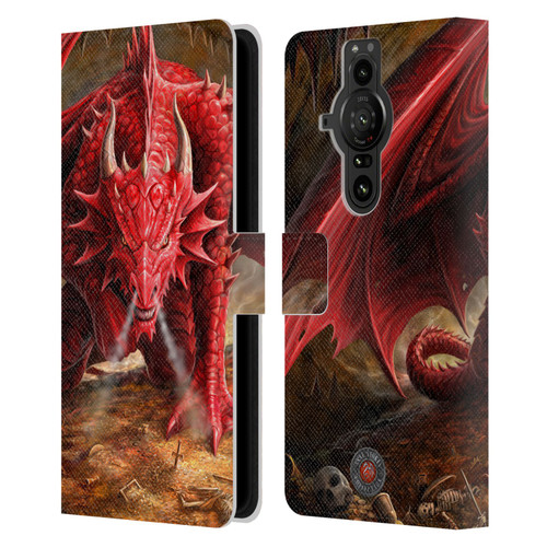 Anne Stokes Dragons Lair Leather Book Wallet Case Cover For Sony Xperia Pro-I