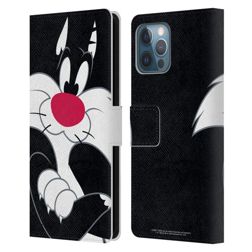 Looney Tunes Characters Sylvester The Cat Leather Book Wallet Case Cover For Apple iPhone 12 Pro Max
