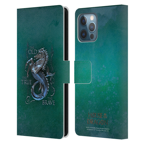 House Of The Dragon: Television Series Key Art Velaryon Leather Book Wallet Case Cover For Apple iPhone 12 Pro Max