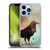 Jena DellaGrottaglia Animals Crow Soft Gel Case for Apple iPhone 13 Pro & MagSafe