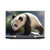 Simone Gatterwe Animals Panda Bear Vinyl Sticker Skin Decal Cover for HP Pavilion 15.6" 15-dk0047TX