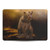 Simone Gatterwe Animals Roaring Grizzly Bear Vinyl Sticker Skin Decal Cover for Apple MacBook Pro 15.4" A1707/A1990