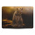 Simone Gatterwe Animals Roaring Grizzly Bear Vinyl Sticker Skin Decal Cover for Apple MacBook Pro 13.3" A1708