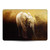Simone Gatterwe Animals Elephant Calf Vinyl Sticker Skin Decal Cover for Apple MacBook Air 13.3" A1932/A2179