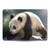Simone Gatterwe Animals Panda Bear Vinyl Sticker Skin Decal Cover for Apple MacBook Air 13.3" A1932/A2179