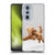 Pixelmated Animals Surreal Pets Highland Pup Soft Gel Case for Motorola Edge X30