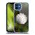 Pixelmated Animals Surreal Wildlife Dandelion Soft Gel Case for Apple iPhone 12 / iPhone 12 Pro
