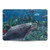 Simone Gatterwe Dolphins Reef Play Vinyl Sticker Skin Decal Cover for Apple MacBook Pro 13" A2338