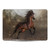 Simone Gatterwe Horses Brown Vinyl Sticker Skin Decal Cover for Apple MacBook Air 13.3" A1932/A2179