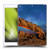Royce Bair Nightscapes Sunset Arch Soft Gel Case for Apple iPad 10.2 2019/2020/2021