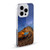 Royce Bair Photography Dragon Arch Soft Gel Case for Apple iPhone 11 Pro Max