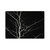 Dorit Fuhg Forest Black Vinyl Sticker Skin Decal Cover for Microsoft Surface Book 2