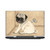 Barruf Dogs Pug Toy Vinyl Sticker Skin Decal Cover for HP Pavilion 15.6" 15-dk0047TX