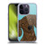 Valentina Dogs Dachshund Soft Gel Case for Apple iPhone 14 Pro