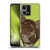 Valentina Dogs Chihuahua Soft Gel Case for OPPO Reno8 4G