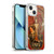 Duirwaigh God Quan Yin Soft Gel Case for Apple iPhone 13