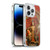 Duirwaigh God Quan Yin Soft Gel Case for Apple iPhone 14 Pro & MagSafe