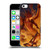 Piya Wannachaiwong Dragons Of Fire Dragonfire Soft Gel Case for Apple iPhone 5c