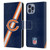 NFL Chicago Bears Logo Stripes Leather Book Wallet Case Cover For Apple iPhone 14