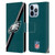 NFL Philadelphia Eagles Logo Stripes Leather Book Wallet Case Cover For Apple iPhone 13 Pro