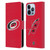 NHL Carolina Hurricanes Plain Leather Book Wallet Case Cover For Apple iPhone 13 Pro