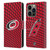 NHL Carolina Hurricanes Net Pattern Leather Book Wallet Case Cover For Apple iPhone 14 Pro