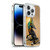 Stanley Morrison Art Egyptian Black Jackal Anubis Soft Gel Case for Apple iPhone 13 Pro & MagSafe