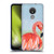 Lisa Sparling Birds And Nature Flamingo Soft Gel Case for Nokia C21