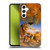 Graeme Stevenson Wildlife Lions Soft Gel Case for Samsung Galaxy A54 5G