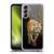 Simone Gatterwe Animals Siberian Tiger Soft Gel Case for Samsung Galaxy A14 5G