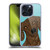 Valentina Dogs Dachshund Soft Gel Case for Apple iPhone 15 Pro