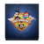 Animaniacs Graphic Art Logo Vinyl Sticker Skin Decal Cover for Sony PS4 Console & Controller