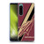 Florida State University FSU Florida State University Stripes Soft Gel Case for Sony Xperia 5 IV