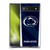 Pennsylvania State University PSU The Pennsylvania State University Banner Soft Gel Case for Google Pixel 6a