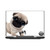 Animal Club International Faces Pug Vinyl Sticker Skin Decal Cover for HP Spectre Pro X360 G2