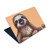Animal Club International Faces Sloth Vinyl Sticker Skin Decal Cover for Apple MacBook Air 15" M2 2023 