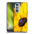 PLdesign Flowers And Leaves Daisy Soft Gel Case for Motorola Edge X30