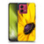 PLdesign Flowers And Leaves Daisy Soft Gel Case for Motorola Moto G84 5G