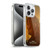 The Walking Dead: Daryl Dixon Key Art Hope Is Not Lost Soft Gel Case for Apple iPhone 15 Pro & MagSafe