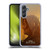 The Walking Dead: Daryl Dixon Key Art Hope Is Not Lost Soft Gel Case for Samsung Galaxy A54 5G