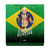 UFC Charles Oliveira Brazil Flag Vinyl Sticker Skin Decal Cover for Sony PS4 Console & Controller
