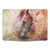 Jena DellaGrottaglia Animals Horse Vinyl Sticker Skin Decal Cover for Apple MacBook Pro 13" A1989 / A2159