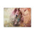 Jena DellaGrottaglia Animals Horse Vinyl Sticker Skin Decal Cover for Microsoft Surface Book 2