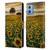 Celebrate Life Gallery Florals Big Sunflower Field Leather Book Wallet Case Cover For Motorola Moto G54 5G