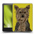 Valentina Dogs Yorkshire Terrier Soft Gel Case for Amazon Kindle Paperwhite 5 (2021)