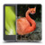 Pixelmated Animals Surreal Wildlife Foxmingo Soft Gel Case for Amazon Kindle 11th Gen 6in 2022