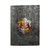 EA Bioware Dragon Age Heraldry Ferelden Distressed Vinyl Sticker Skin Decal Cover for Sony PS5 Digital Edition Bundle