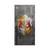 EA Bioware Dragon Age Heraldry Ferelden Distressed Vinyl Sticker Skin Decal Cover for Microsoft Series X Console & Controller